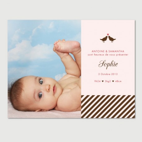 faire part lovebirds