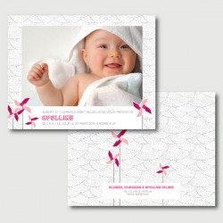 Appoline baby announcement